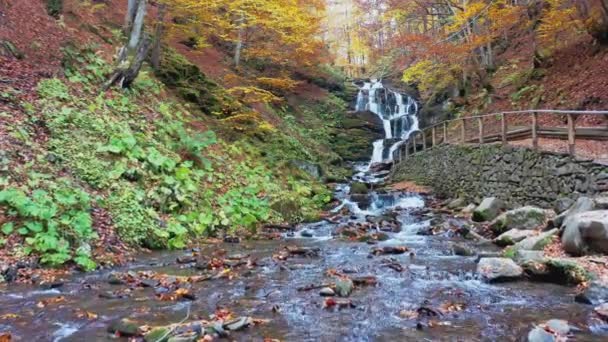 Fluxo estreito caindo na encosta da montanha na floresta de outono — Vídeo de Stock