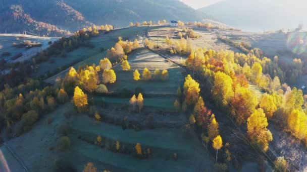 Altos picos de montanha com floresta amarelada sob sol brilhante — Vídeo de Stock