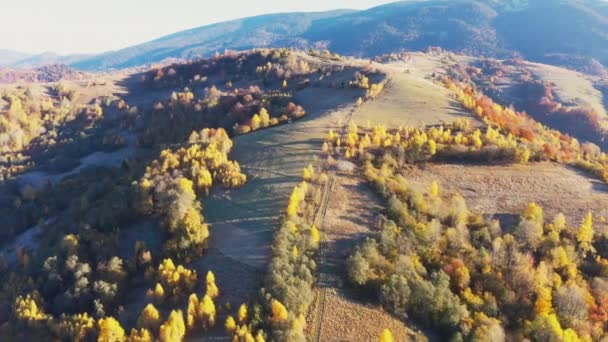 Höga bergstoppar med gulnad skog under stark sol — Stockvideo