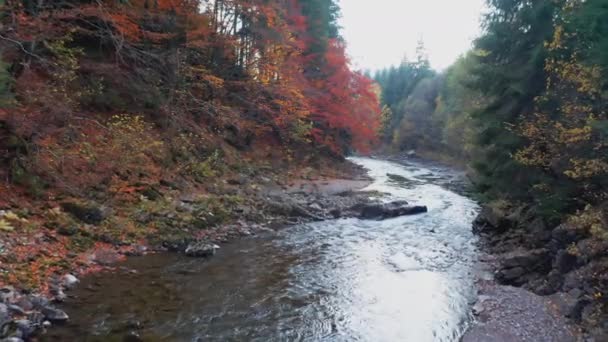 Rzeczne rzeki w pobliżu podnóża gór z lasami terakotowymi — Wideo stockowe