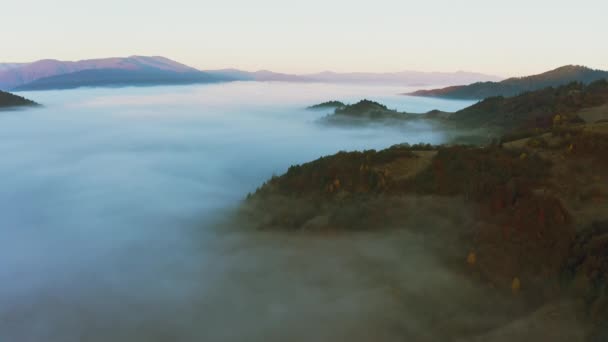 Βουνά με πολύχρωμα δέντρα καλυμμένα με στρώμα ομίχλης — Αρχείο Βίντεο