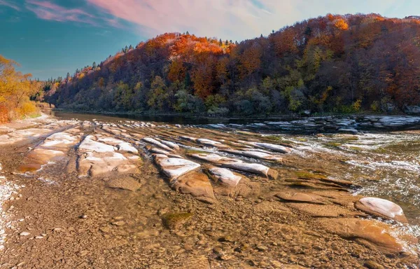 Shallow Mountain River Rapids Evergreen Autumn Terracotta Forests Steep Banks — Stockfoto