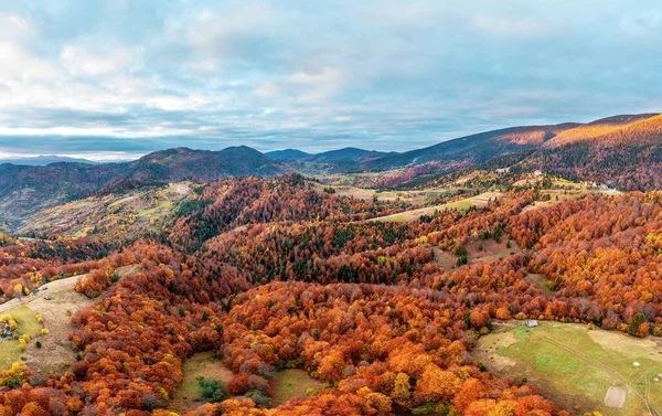 Mountain Ridge Covered Terracotta Forests Vivid Yellowed Trees Grey Cloudy — Fotografia de Stock