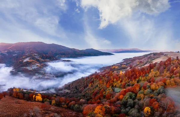 Mountain Hills Covered Colorful Forests Thick Layer Fog Canyon Blue — Stock fotografie