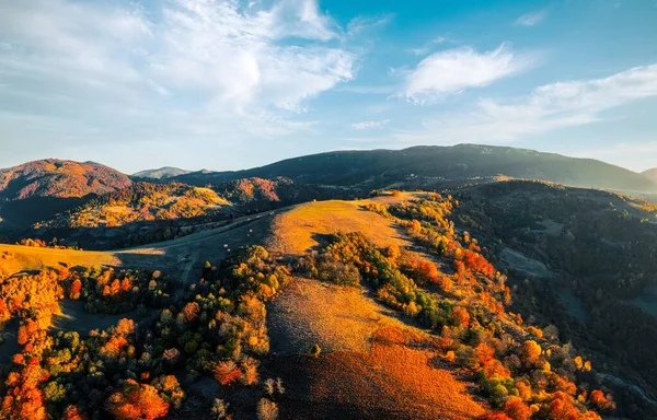 Coloridas Cimas Montañas Cubiertas Bosques Verdes Terracota Árboles Vívidos Bajo — Foto de Stock