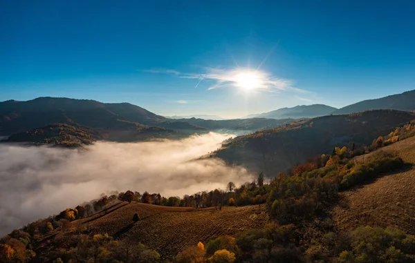 Altiplano Montañas Cubiertas Bosques Coníferas Gruesa Capa Niebla Cañón Bajo —  Fotos de Stock