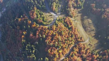 Dar yolları ve sonbahar ormanları olan dağlık ve tepeler