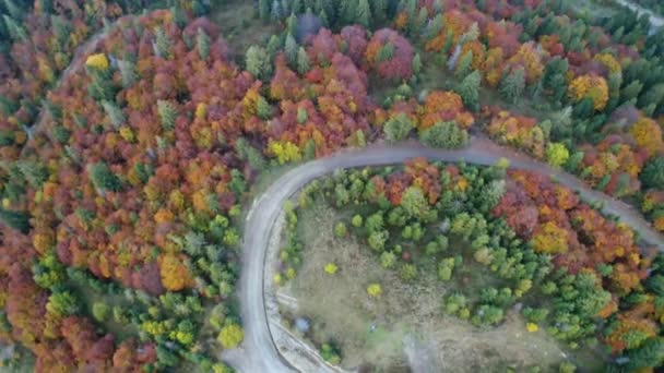 Dar yolları ve sonbahar ormanları olan dağlık ve tepeler — Stok video