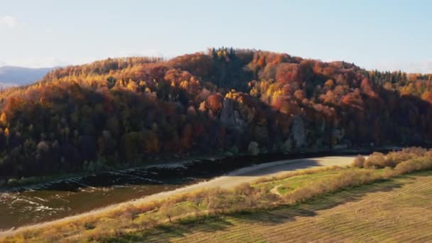 Ondiepe bergrivier aan de voet van een heuvel met terracotta bossen — Stockvideo