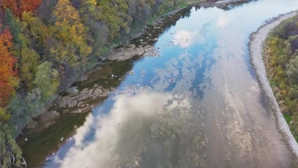 테라코타 숲 이 있는 언덕에 있는 얕은 산의 강 — 비디오