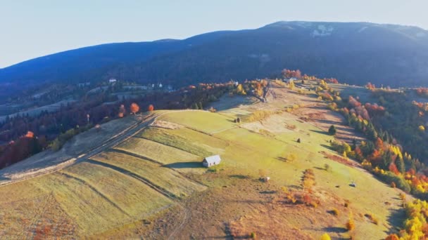 Hoge bergtoppen met vergeelde bossen onder felle zon — Stockvideo