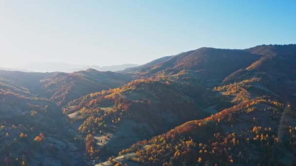 Hoge bergen met terracotabomen bij zonsopgang — Stockvideo