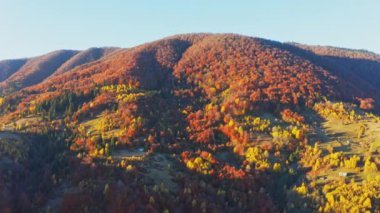 Sonbahar ormanlarında gündoğumunda ağaçlı dağlık araziler