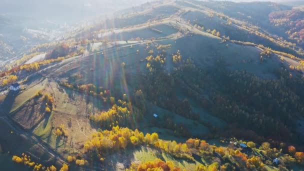 Magas hegyek teraszos fákkal fényes napfelkeltekor — Stock videók