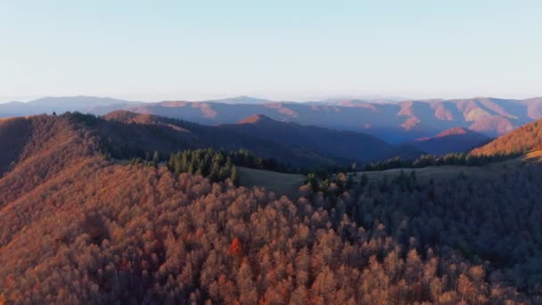 Hautes terres montagneuses avec arbres dans la forêt d'automne au lever du soleil — Video