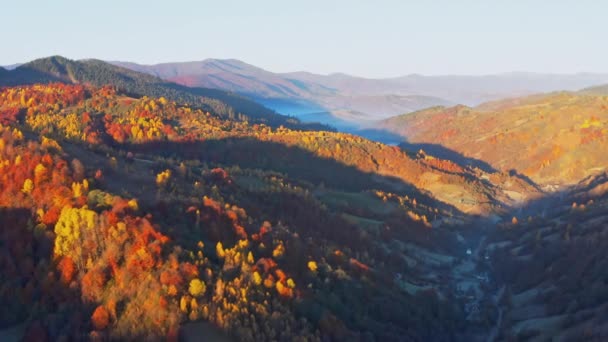 Berghooglanden met bomen in het herfstbos bij zonsopgang — Stockvideo