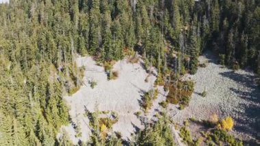 Mavi gökyüzünün altındaki yüksek taştan dağın tepesindeki Evergreen Ormanı