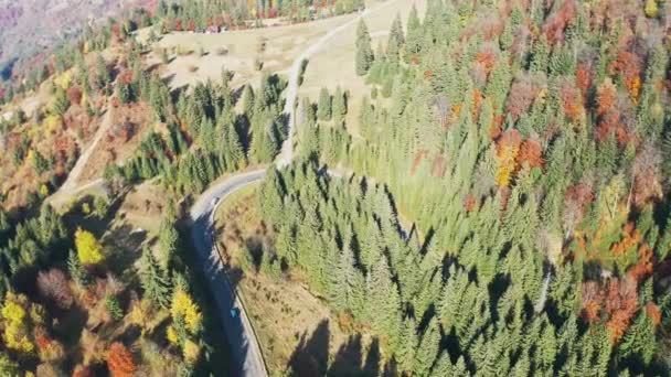 Voitures conduisent le long de l'autoroute dans la distance des montagnes des Carpates dans une forêt de sapins en Ukraine — Video