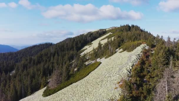 Evergreen bos op de top van hoge stenen berg onder blauwe lucht — Stockvideo