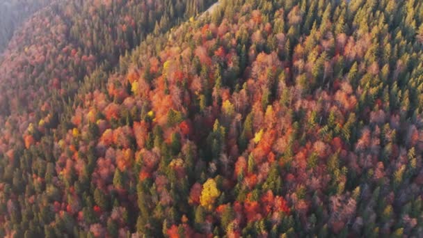 Grzbiet górski z lasami terakotowymi pod zachmurzonym niebem — Wideo stockowe