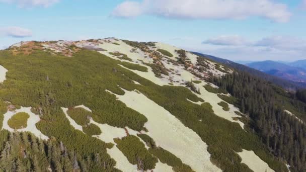 Bosque siempreverde en la cima de la alta montaña de piedra bajo el cielo azul — Vídeos de Stock