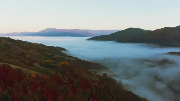 형형색색의 숲 과짙은 안개로 뒤덮인 산들 — 비디오