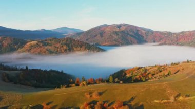 Dağları renkli ağaçlarla kaplayan kalın sis tabakası