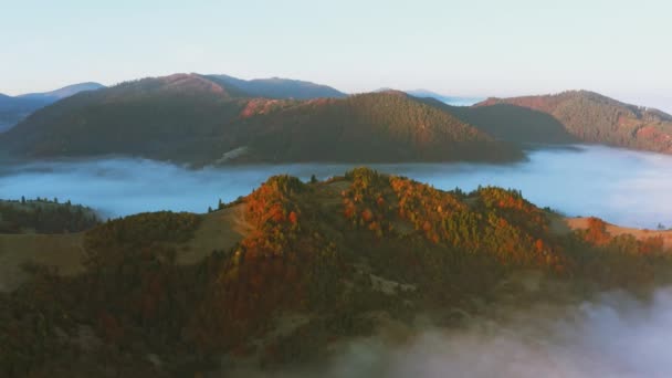 Collines de montagne couvertes de forêts colorées et de brouillard épais — Video