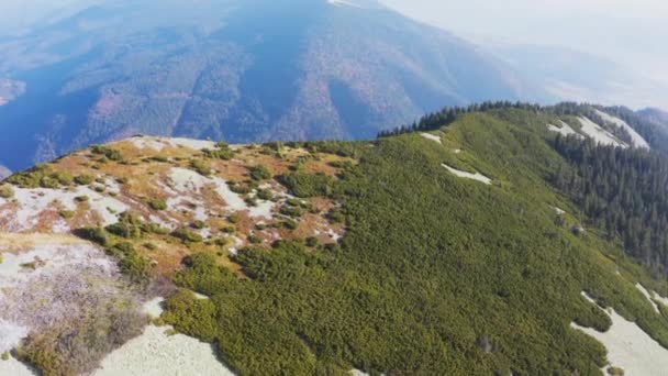 Evergreen skog på toppen av hög sten berg under blå himmel — Stockvideo