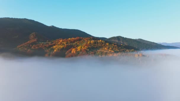 Berg med färgglada träd täckta med lager av dimma — Stockvideo