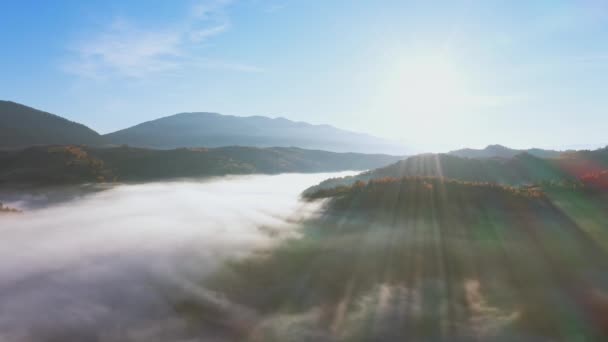 五彩斑斓的森林覆盖的高山和浓雾 — 图库视频影像