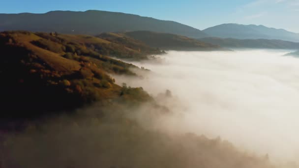 Dicke Nebelschicht bedeckt Berge mit bunten Bäumen — Stockvideo