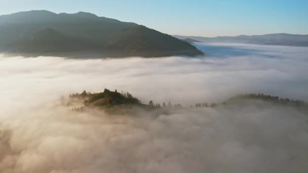 Napkelte fény a felhők között a hegyi kanyon felett ködben — Stock videók