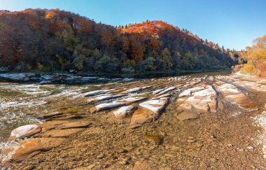 Yüzeysel dağ nehri akıntısı, sonsuz yeşil sonbahar terracotta ormanları, dik kıyılarda, açık mavi gökyüzünün altında güneşli sonbahar günü manzarası.