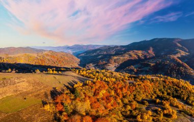 Colorful mountain tops covered with green and terracotta forests and vivid trees under cloudy sky on sunny autumn day aerial view