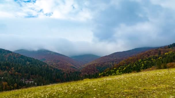 Highland με δασικούς λόφους και λιβάδι κάτω από βαριά σύννεφα — Αρχείο Βίντεο