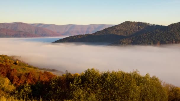 Gęsta poranna mgła wypełnia górską głęboką dolinę pośród gór — Wideo stockowe