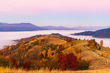 Sonbaharda pembe mavi gökyüzünün altında yoğun sisle kaplı derin vadiye karşı gür renkli ağaçları ve kuru sarı otları olan yüksek tepe.