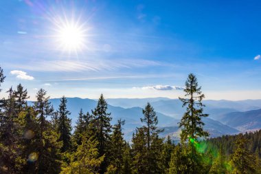 Sonbaharda güneşli bir günde uzak dağlara karşı yüzlerce yıllık çamların büyüdüğü kozalaklı ormanların yok edilmesi.