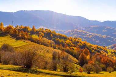 Yükseklerde yemyeşil ağaçlarla dolu çimenli yamaçlar. Sonbaharda bulutlu gökyüzünün altında günbatımında uzak dev orman dağlarına karşı.