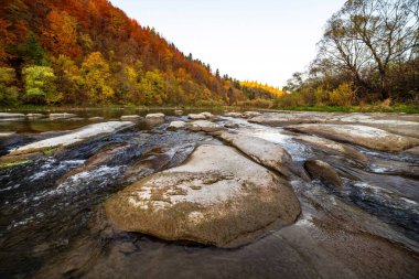 Dağ ırmağının sığ akıntıları, dik kıyılardaki sonbahar terakotta ormanları, uzun süreli çekim.