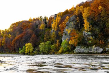 Dağ ırmağının sığ akıntıları, dik kıyılardaki sonbahar terakotta ormanları, uzun süreli çekim.