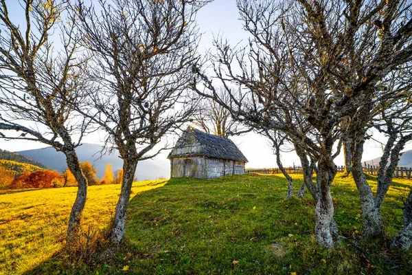 Terk Edilmiş Ahşap Çitin Yanındaki Çimenli Tepeye Kurulmuş Dağlık Arazide — Stok fotoğraf