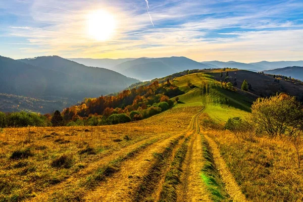 Camino Tierra Hierba Extiende Las Tierras Altas Contra Montañas Forestales —  Fotos de Stock