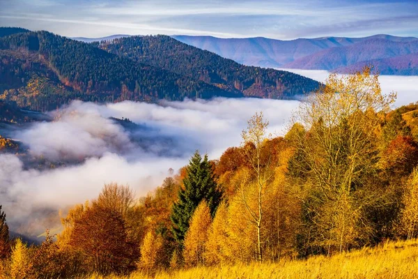 Foggy Vallei Met Verspreide Dorpen Omgeven Door Bossen Bergen Heuvels — Stockfoto