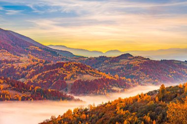Sonbaharda pembe mavi gökyüzünün altında yoğun sisle kaplı derin vadiye karşı gür renkli ağaçları ve kuru sarı otları olan yüksek tepe.