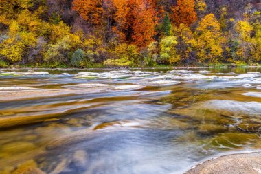 Dağ nehri vahşi taş kıyısı. Sonbaharda mavi gökyüzünün altında yüzen bulutlarla birlikte tepede yetişen renkli ağaçlara karşı akıntılar var.