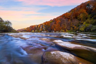 Dağ ırmağının sığ akıntıları, dik kıyılardaki sonbahar terakotta ormanları, uzun süreli çekim.