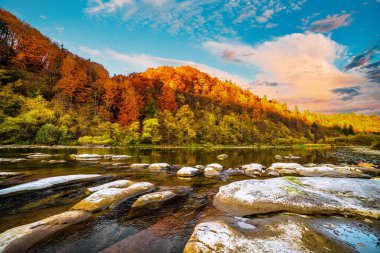 Dağ ırmağının sığ akıntıları, dik kıyılardaki sonbahar terakotta ormanları, uzun süreli çekim.