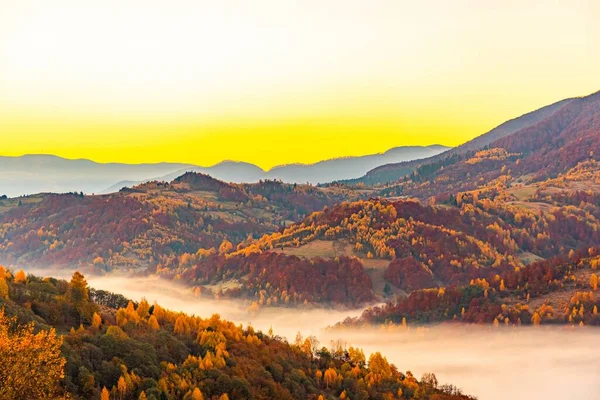 High Hill Lush Colorful Trees Dry Yellow Grass Deep Gorge — Stock Photo, Image